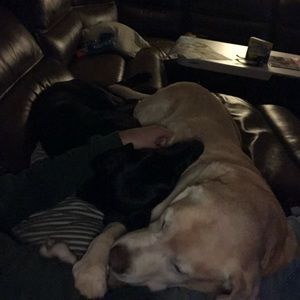 Meet your Posher, Brian